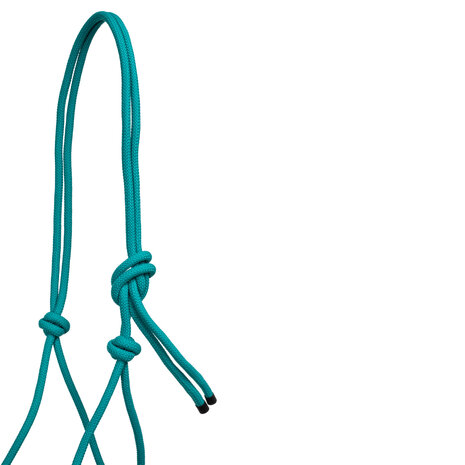 Pool&#039;s Touwhalster met Leadrope Turquoise