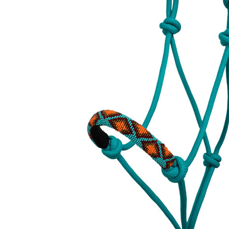 Pool&#039;s Touwhalster met Leadrope Turquoise