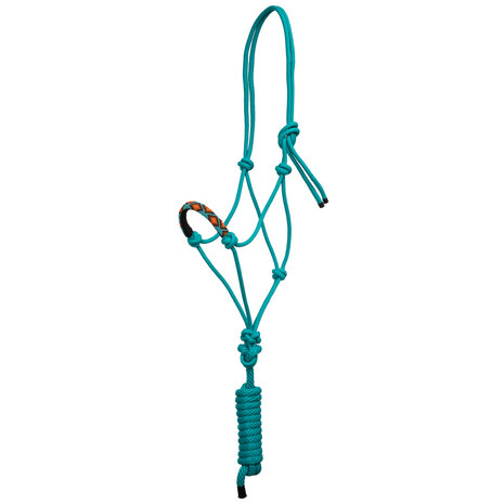 Pool&#039;s Touwhalster met Leadrope Turquoise