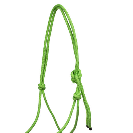 Pool&#039;s Touwhalster met Leadrope Lime