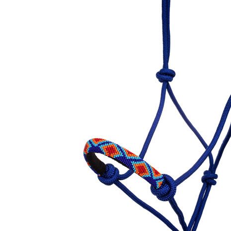 Pool&#039;s Touwhalster met Leadrope Royal Blue