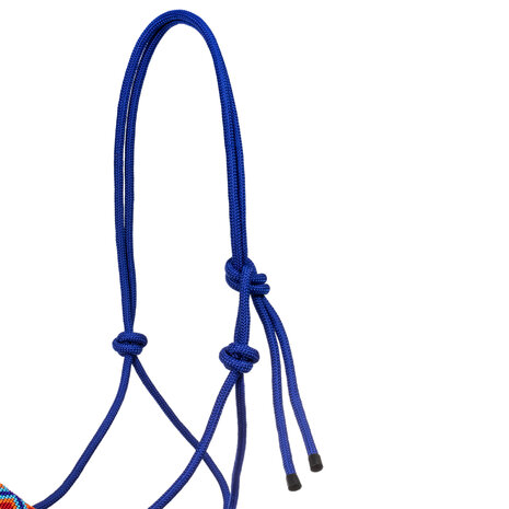 Pool&#039;s Touwhalster met Leadrope Royal Blue