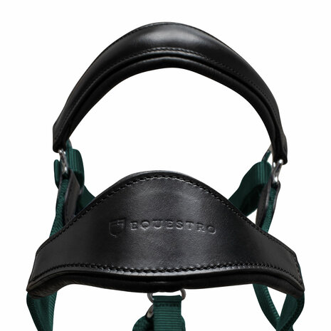 Equestro Ergonomic Halster Leder