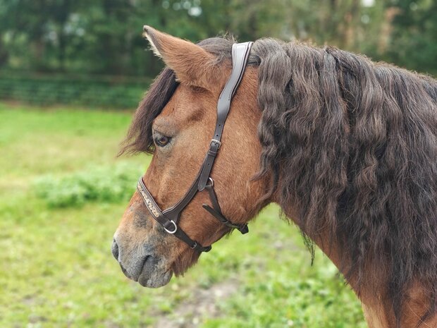 Tolt Saga Sidepull Hoofdstel Godi Bruin