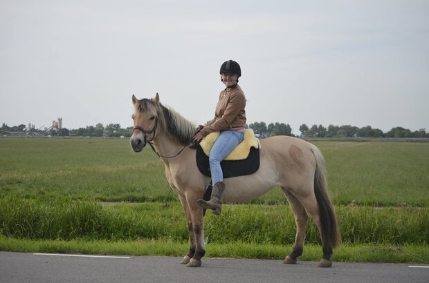 Barebackpad Ibero Zwart