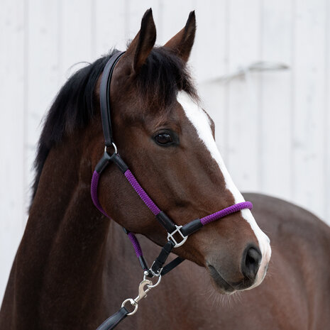 Kavalkade Halster met Touw Cavo Zwart Paars