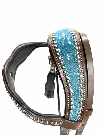 Western Hoofdstel Turquoise Shetty en Koudbloed