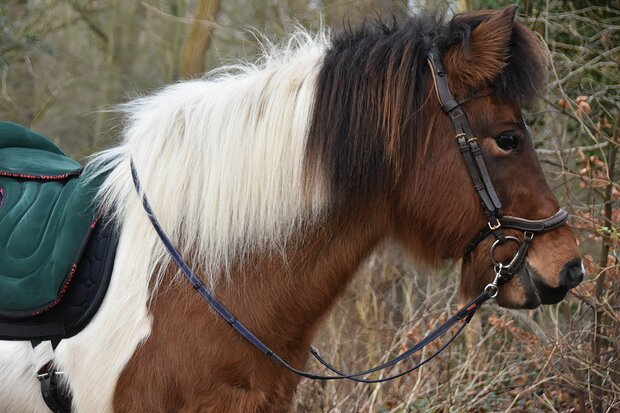 Barebackpad Zadelvorm Support Suede met kniewrong